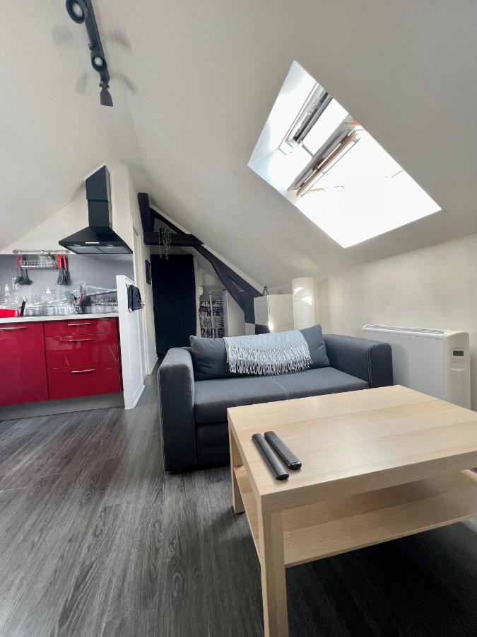 Bel Appartement Lumineux 35M2, Bord De Loire Saint-Jean-le-Blanc Exteriér fotografie