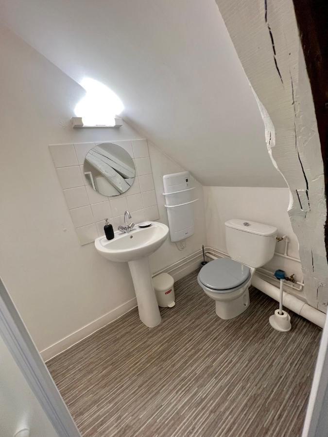 Bel Appartement Lumineux 35M2, Bord De Loire Saint-Jean-le-Blanc Exteriér fotografie