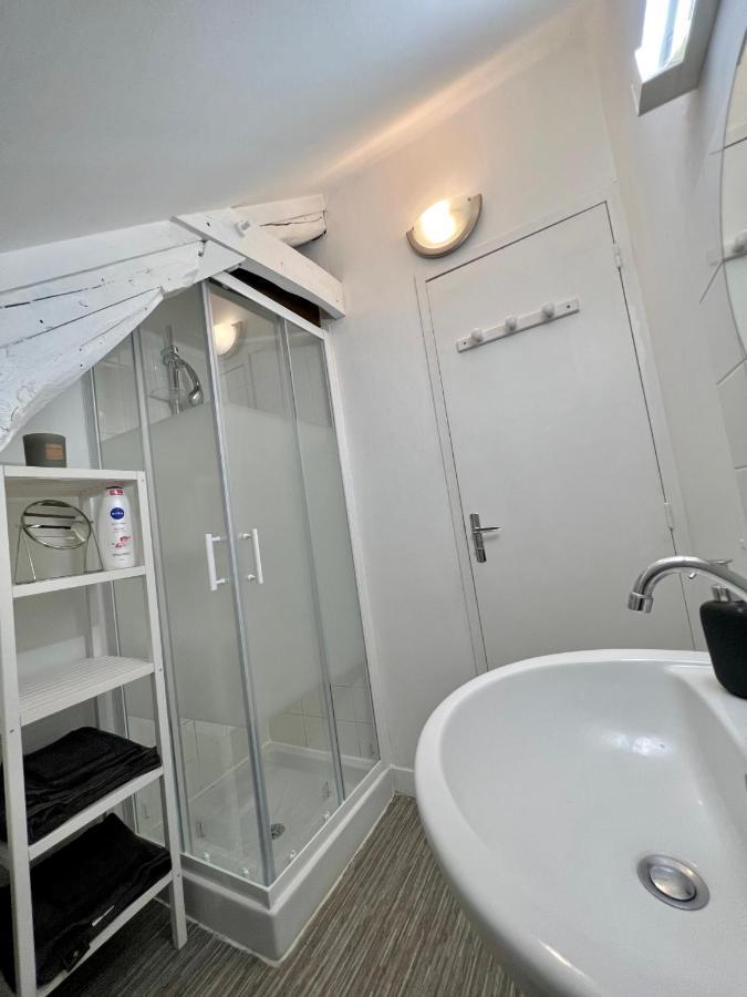 Bel Appartement Lumineux 35M2, Bord De Loire Saint-Jean-le-Blanc Exteriér fotografie