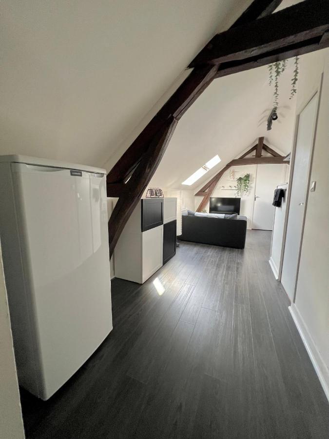 Bel Appartement Lumineux 35M2, Bord De Loire Saint-Jean-le-Blanc Exteriér fotografie
